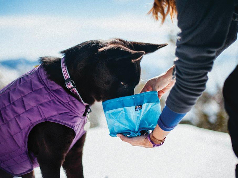 Kurgo® Zippy Bowl, Blue